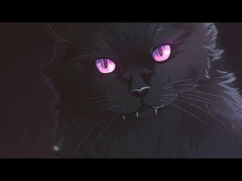 Trailer 1