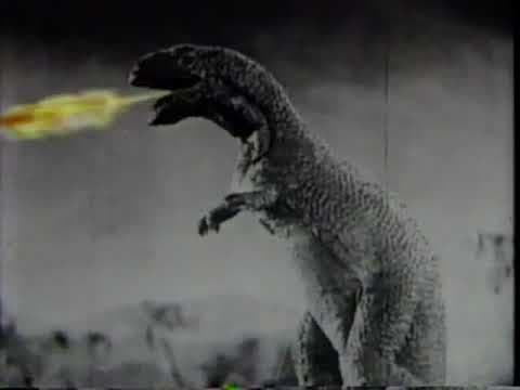 Trailer 5