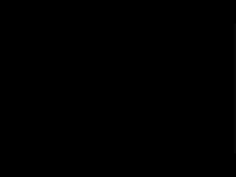 Trailer 2