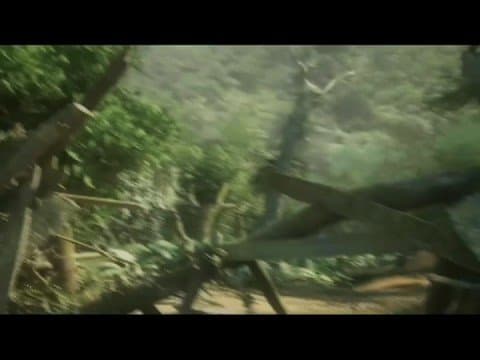Trailer 2