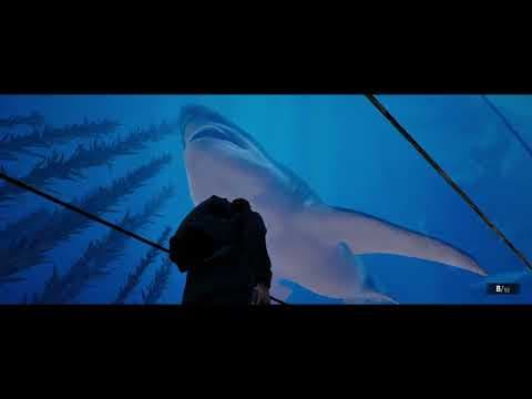Trailer 2