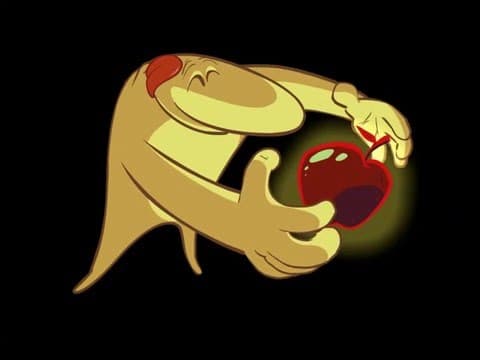Trailer 1