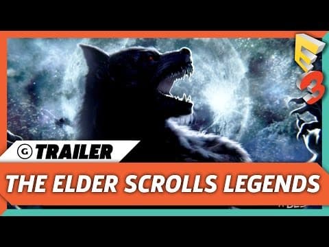 Trailer 5
