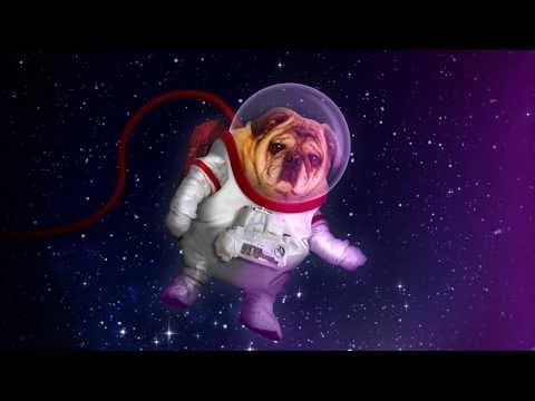 Trailer 1