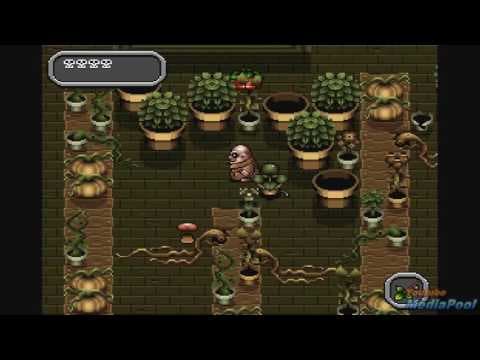 Trailer 1