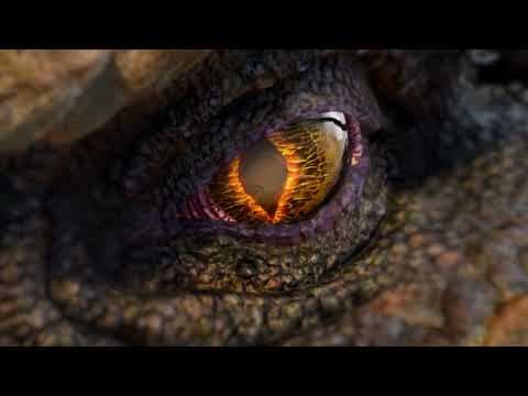Trailer 2