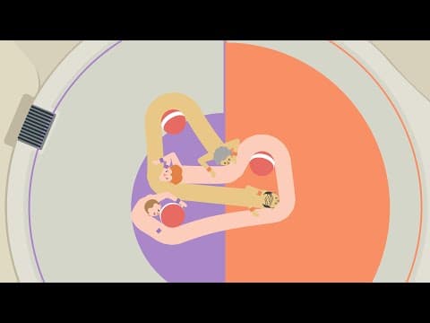 Trailer 1